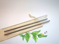 SUS304 (18/8) Stainless Steel Drinking Straws, Set of 2 (Straight) + Cleaning Brush. ISO9001 & SGS Certified & Tested.