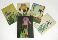 Iris Boxed Notecard Set