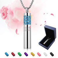 9Oine Aromatherapy Diffuser Pendant Locket Necklace, Perfume Bottle Essential Oil Diffuser Necklace Diffuser and Container 2-in-1 Stainless Steel Necklace with 8 Color Pads-Gift for Male & Female