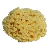 Lurrose 4-4.5 Inches Bath Sponge Natural Seaweed Sponge Honeycomb Sponge Bath Supplies for Shower Wash Face