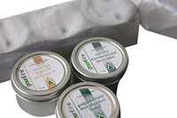 Greenfire All Natural Massage Oil Candles, Lavender Sandalwood Vanilla, Orange Carrot Coconut, Peppermint Eucalyptus Basil, Travel Size 1 Fluid Ounce, Set of 3