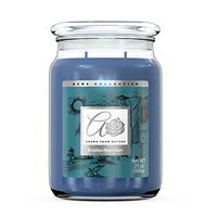 Aroma From Nature Brazilian Beach Bum 20 oz Home Collection Scented Candle - 1 Pack - Aromatherapy Candles - Home Fragrance - Apothecary Glass With Double Wick