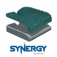 Synergy Solution 1 Cushion - 18" X 16"
