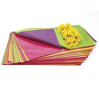 Pastel Mint Green! Art DIY Crafts Tissue Paper for Gift Wrapping 20"X30" Solid 10 Sheets