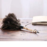 ZHANGY Hand Duster-Perfect to Clean Ceiling Piano, dashboards, Bookshelves, Pets,Small