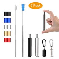 Btsgd Reusable Telescopic Stainless Steel Metal Straws Food-Grade Folding Drinking Straw with Case and KeyChain Easy to take(black/silver)