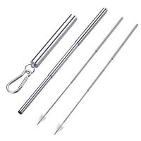 SHARING Portable Reusable Straws - Telescopic Stainless Steel Drinking Straws - Metal Straw with Cleaning Brush, Exquisite Travel Case and Keychain (Silver)
