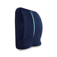 ZHOUYANG Cool Pillow Cushions Multifunction Dual Lumbar Cushion pad First Dual Grid (Color : Blue)