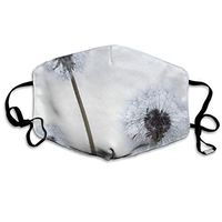 Face Mask Lovely Dandelion Marvellous Cycling Half Face Earloop Dust Mask for Man