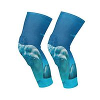 Knee Sleeve Beluga Whale Facts Full Leg Brace Compression Long Sleeves Pant Socks for Running, Jogging, Sports, Crossfit, Basketball, Joint Pain Relief, Men and Women 1 Pair