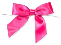 6ct. Pre-Tied HOT Pink 3" Satin Gift Bows Wire Ties Ready-to-Use 7/8" Ribbon nfLG -1375