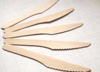 Wooden Knives - Disposable Wood Cutlery Vintage Flatware 50ct - Twilight Parties
