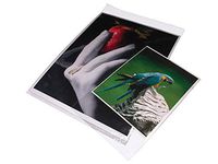 Print File Crystal Clear Art Protectors 19x25" Package of 100, Resealable Adhesive Strip (BOPP1925)
