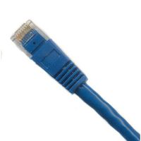 Ultra Spec Cables Pack of 150 - Blue 1FT Cat6 Ethernet Network Cable LAN Internet Patch Cord RJ45 Gigabit