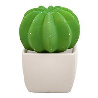 Lively Breeze Dotti Cactus, Non-Electric Ceramic Diffusers for Essential Oils and Aromatherapy Fragrance, White Ceramic Diffusers in Car or Desk Office Decor and Small Bathroom at Home, White Vase