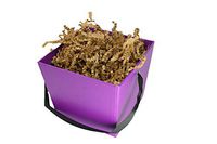 Solid Color Cardboard Treat Box Bucket w/Ribbon Handle 4" x 5" with Natural Color Crinkle Shred Choose Box Color (Purple)