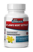Brain and Memory Booster - ST. John's Wort Extract - st John Root - 1 Bottle (60 Capsules)