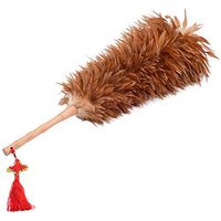 ZHANGY Manual Duster - Ostrich Feathers, Perfect Clean Ceiling Piano, Bookshelves, Pets, can be Used as Toys/Playing Accessories/Props