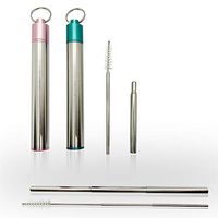 Collapsible Retractable Stainless-Steel Straws (Blue & Pink)