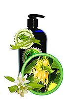 BLOSSOM GROVES Body Massage Oil - 16oz