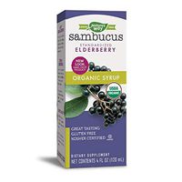 Nature's Way Sambucus, Organic Standardized Elderberry Syrup, 4 Fl. Ounce, 4 Fluid Ounce (Packaging May Vary)