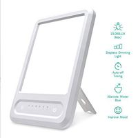 Light Therapy Lamp, Zuukoo UV-Free 10000 Lux Portable LED Happy Sun Lamp with Touch Control, Timer Function, 3 Adjustable Brightness Levels, Standing Bracket for Home Office Use