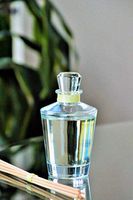 Manu Home Meyer Lemon Reed Diffuser Sticks Gift Set~ Beautiful Reusable 4oz Bottle ~ Made with Essential Oil Blend of Lemons, Mandarin and Citrus Extract ~ Proudly Made in The USA!