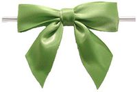 BAYWIND LTD; 3" Twist Tie Bows- 50pc (Kiwi)