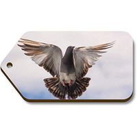Azeeda 10 x 'Flying Pigeon' 66mm x 34mm Gift Tags (TG00001259)