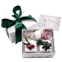 Scented Candle Gift Set Aromatherapy Fragrance Long Lasting Portable Candle for Women Travel Natural Soy Wax Essential Oils Stress Relief Relaxation Birthday Anniversary Gift (Nordic2)