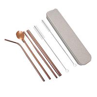 UPKOCH Stainless Steel Straw Set Metal Travel Straw Drinking with Case Cleaning Brush