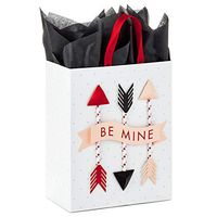 Hallmark Paper Wonder 9" Medium Valentine's Day Gift Bag with Tissue Paper (Be Mine Arrows)
