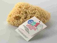 Acme Sea Wool Sponge 7" - 8"