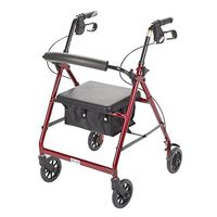 Aluminum Rollator with Fold-Up, Removable Backrest - each