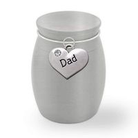 Small Mini Dad Father Memorial Ashes Holder Container Jar Vial Brushed Stainless Steel Cremation Funeral Urn