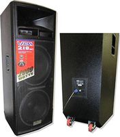 DJTECH VEGAS218MKII 3-Way PA Loudspeaker