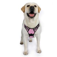 rabbitgoo Dog Harness No-Pull Adjustable Pet Vest Harness Outdoor Pet Vest 3M Reflective Oxford Material Vest Easy Control for Dogs (Pink, XL)