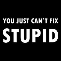 You Just Can't Fix Stupid Vinyl Decal Sticker | Cars Trucks Vans Walls Laptops Cups | White | 5.5 X 2.6 Inch | KCD1767