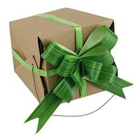 PoshNPretty Ti Leaf Pull Bow - 12 PCS