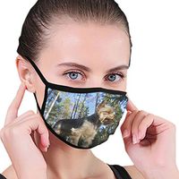 Shawnajjarosz Reusable Face Mask Forest, Dog, Yorkie, Terrier, Pet, Canine Mouth Masks for Men Women Boys Girls