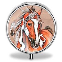 Decorative Pill Box for Purse with Push Button Daily Pill Case-Native American Horses