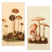Set of 2 Decorative Match Boxes (Vintage Mushrooms)