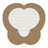 Sacral Silicone Superabsorbent Foam Dressing 7" X 7" Box of 5; Wound Dressing By Areza Medical