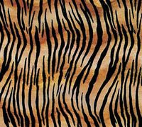 Animal Print Tissue Paper 20"x30" Sheets Gift Wrap Leopard Zebra Paw Giraffe - Tiger Stripes 5ct