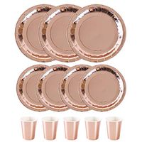 Rose Gold Disposable Paper Plates Cups Set;24 Pcs 9" Dinner Plates,24 Pcs 7" Dessert Plates,24 Pcs 9 Oz Paper Cups;Tableware Sets For Birthday,Graduation,Wedding,Baby Shower,Party (Rose Gold, 72)