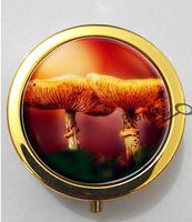 BlackKey Mushroom 3-Compartment Decorative Pocket Gift Box Case Organizer for Pill, Color 2 -336