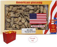DABC OAK LAND 100g American Wild Ginseng 15~20 Years, Wisconsin Pearl Ginseng Root Hand-Selected | 美国威斯康辛州野生西洋参 花旗参 野泡参 珍珠参 |Cultivated American Wisconsin Ginseng 100g