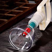 Vacuum Device Cupping Travel Cupping Therapy Equipment Cup Vacuum Suction Pump Hand Pump H