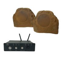 TIC TFS5-CN Canyon Rock Speakers with AMP50 100W Outdoor WiFi/Bluetooth Amplifier