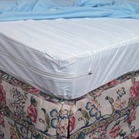 Zippered Plastic Mattress Protector - Hospital - 36" x 80" x 6" - Each
